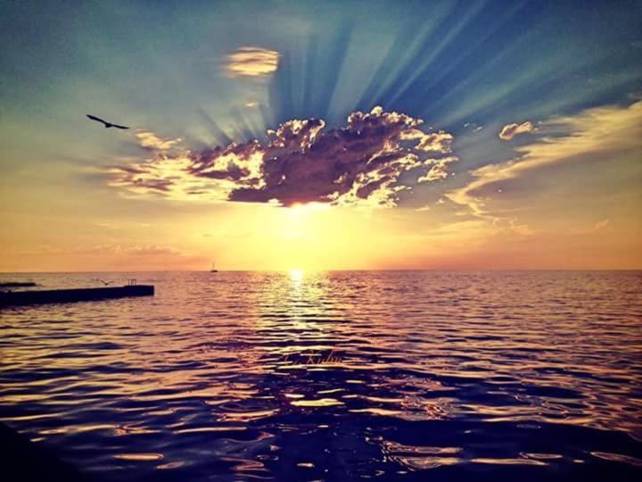 Apartmans Sun & Moon * Zambratija (Istria)